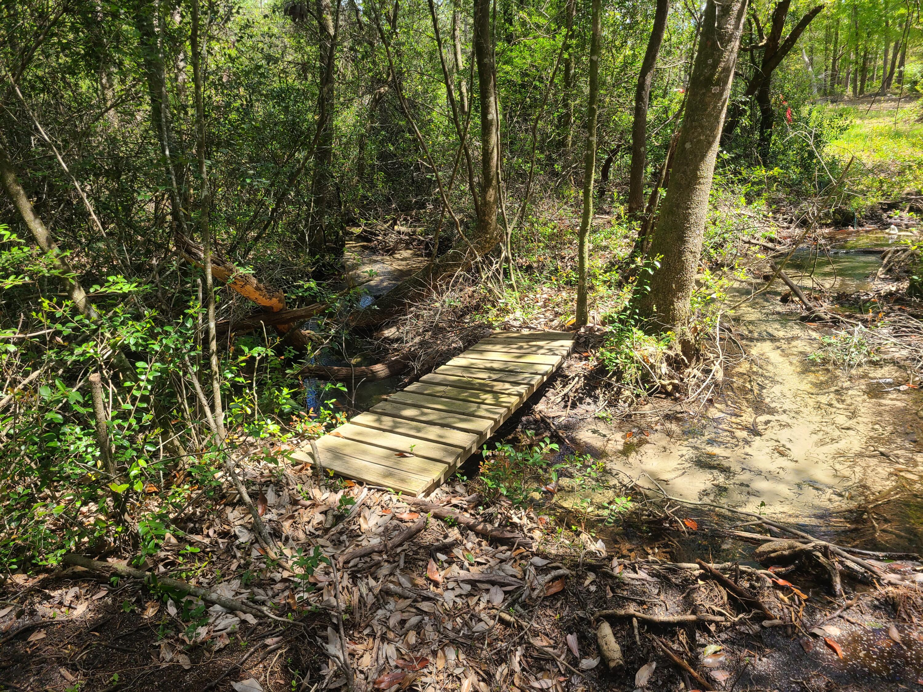 Tbd Sowell Drive Crestview, FL 32539 - Photo 5 of 13 a view of outdoor space and trees