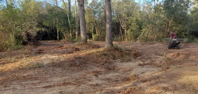 a view of outdoor space with deck and yard