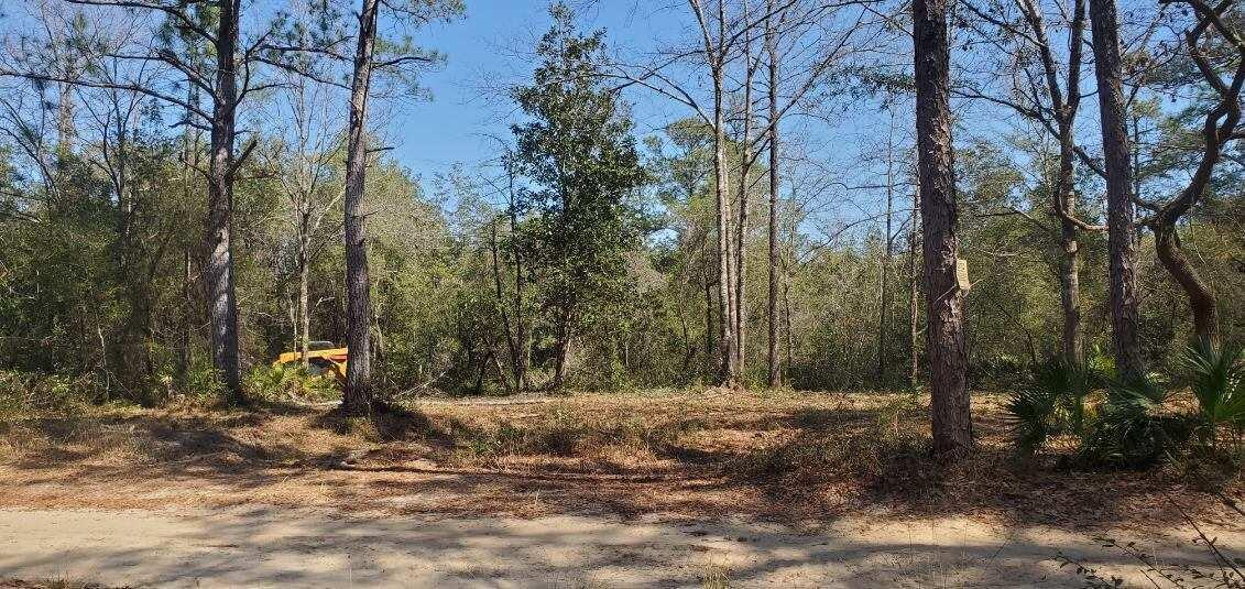 Tbd Sowell Drive Crestview, FL 32539 - Photo 8 of 13 a view of a yard with trees