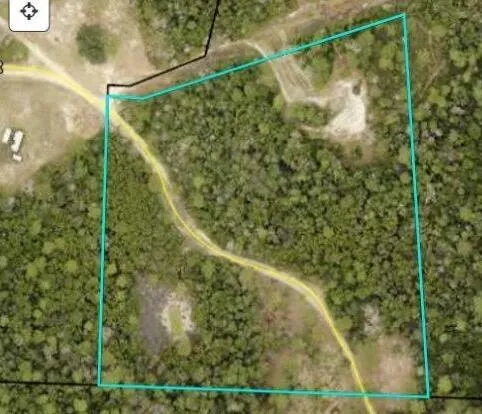 a view of a small yard