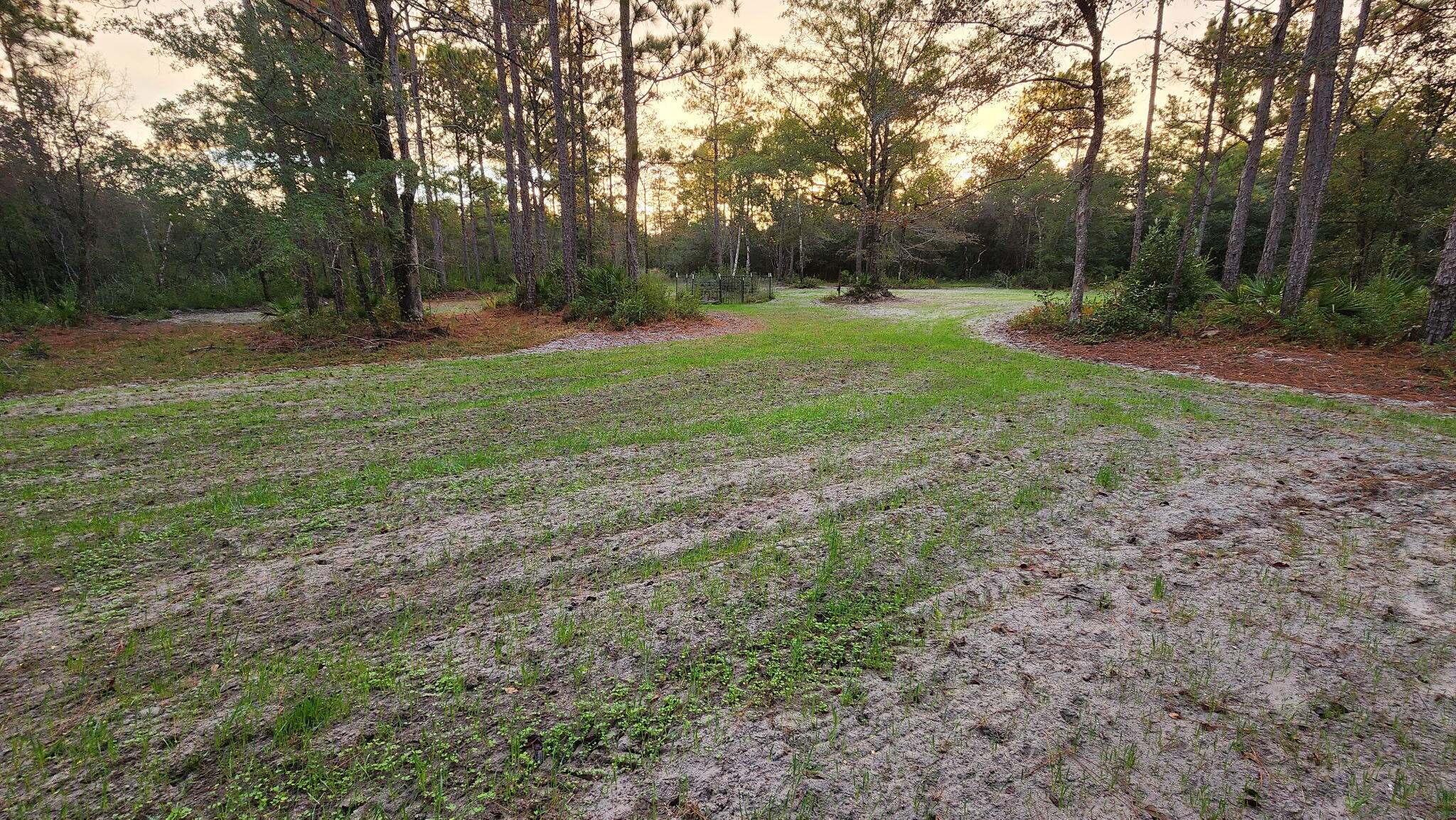 Tbd Sowell Drive Crestview, FL 32539 - Photo 10 of 13 a view of backyard with green space
