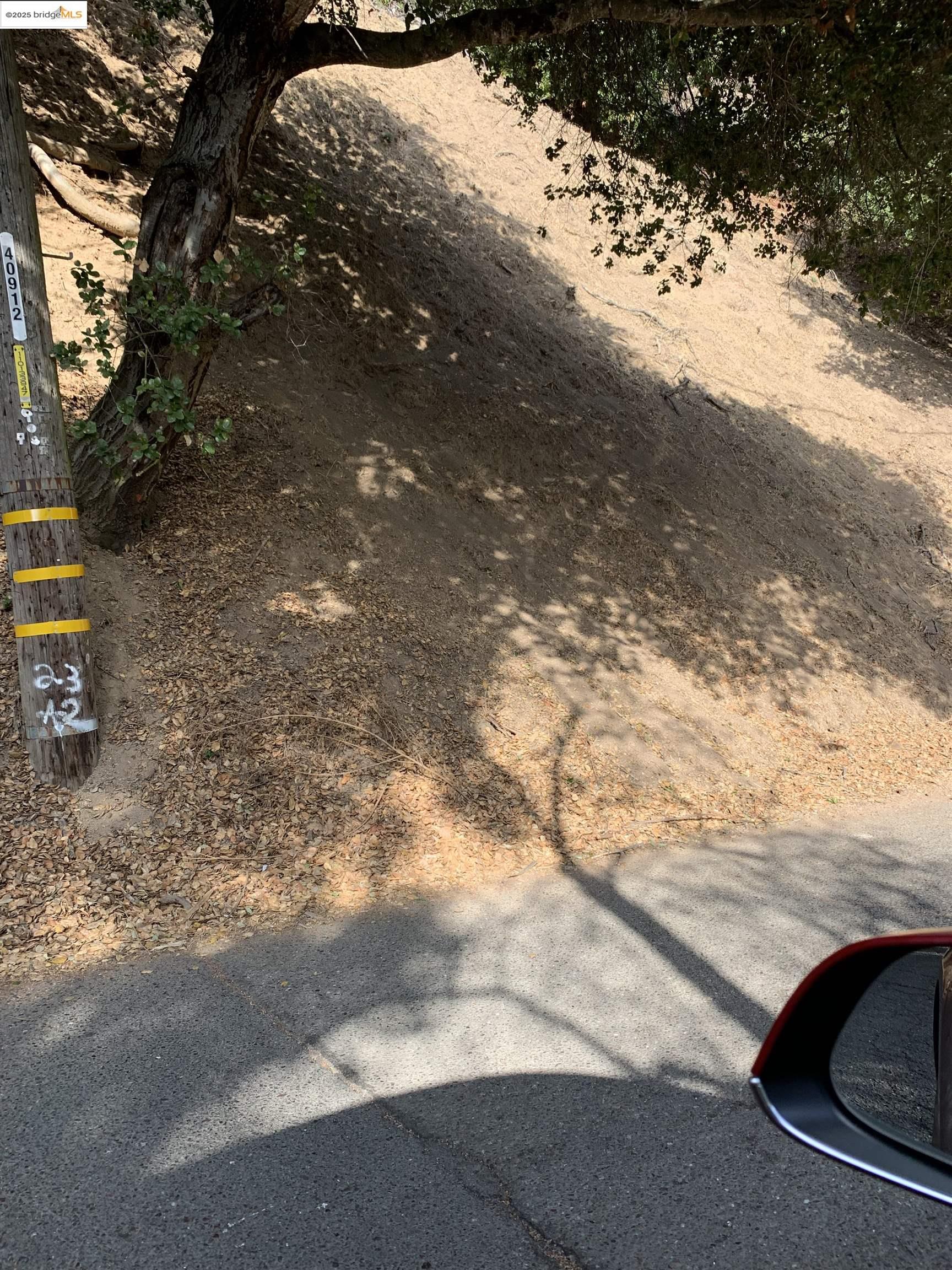 7247 Thorndale Drive Oakland, CA 94611 - Photo 4 of 7 a view of outdoor space and street view