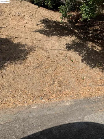 a view of a yard with large trees