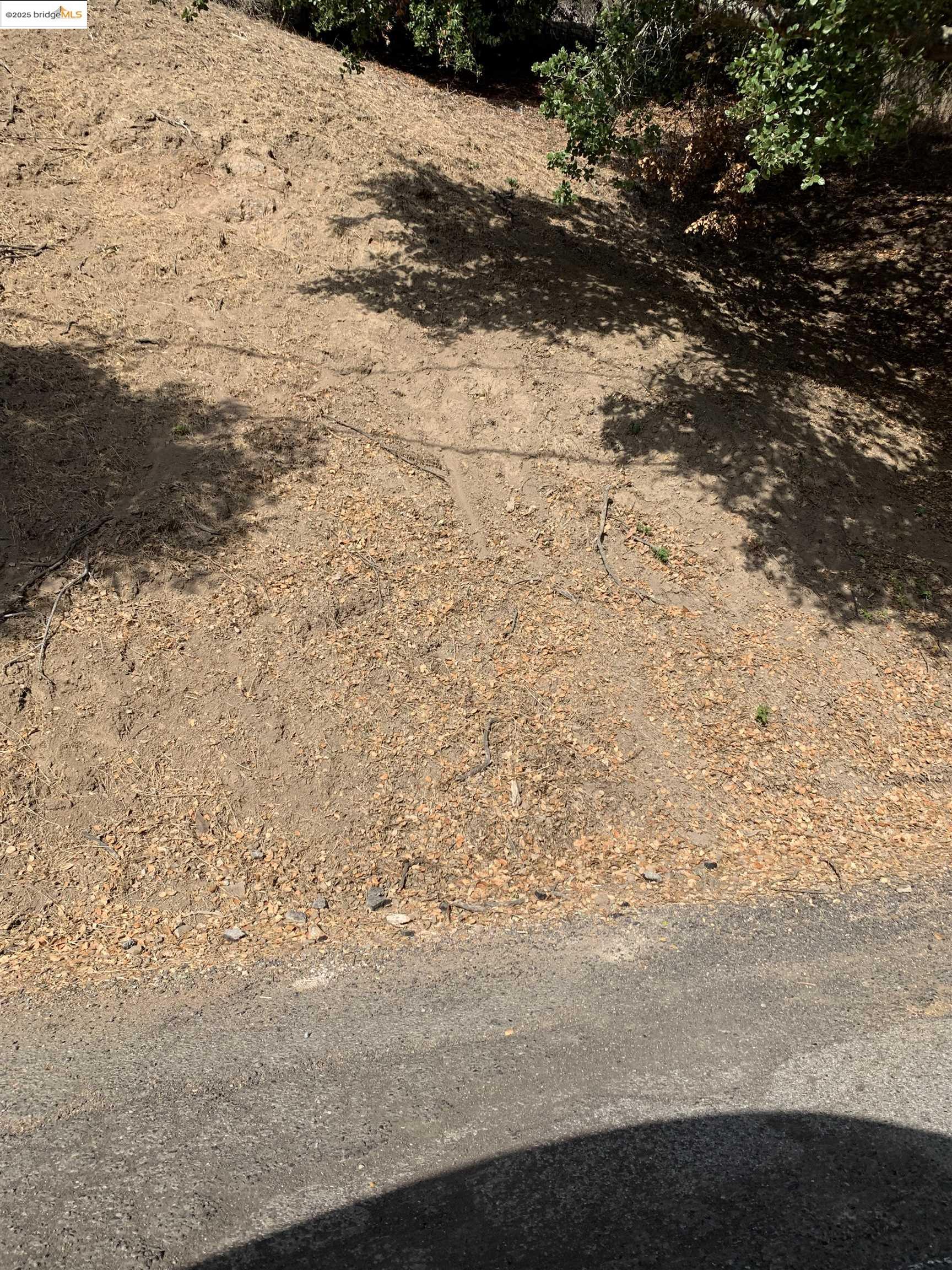 7247 Thorndale Drive Oakland, CA 94611 - Photo 5 of 7