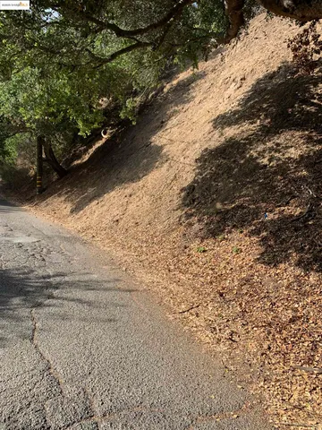 a view of a yard with an trees