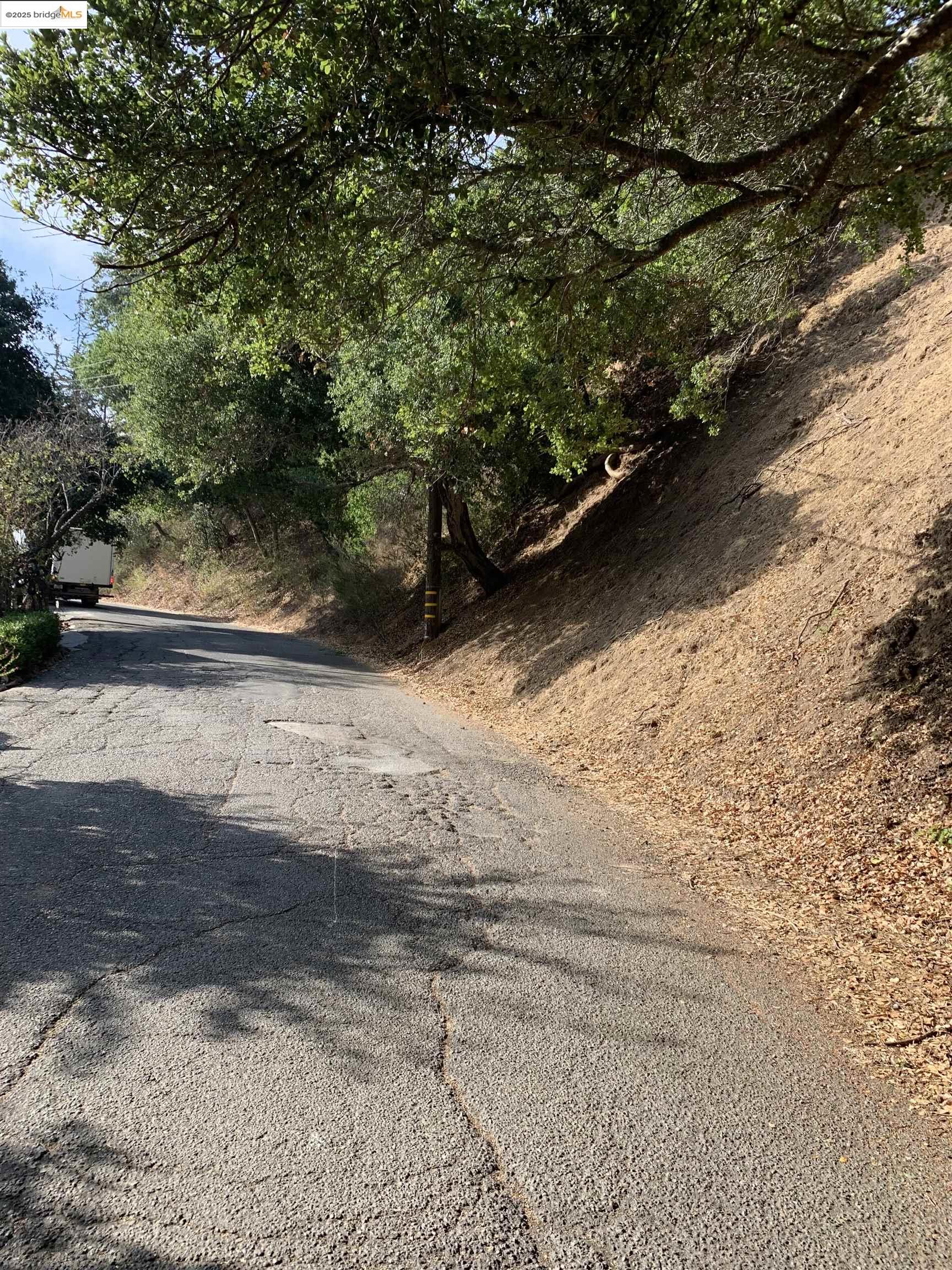 7247 Thorndale Drive Oakland, CA 94611 - Photo 7 of 7 a view of a yard with an trees
