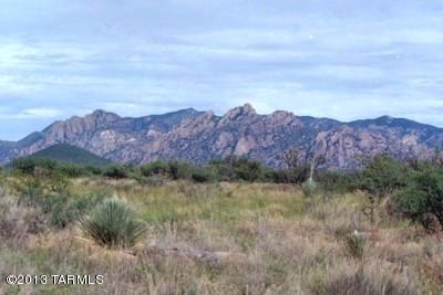 Lot 65 East Horse Ranch Road, Unit 65 St. David, AZ 85630 - Photo 5 of 17