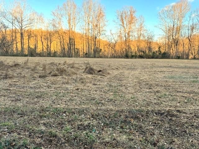 Parcel B Roach Road Salt Rock, WV 25559 - Photo 2 of 11 Gallery Image 2