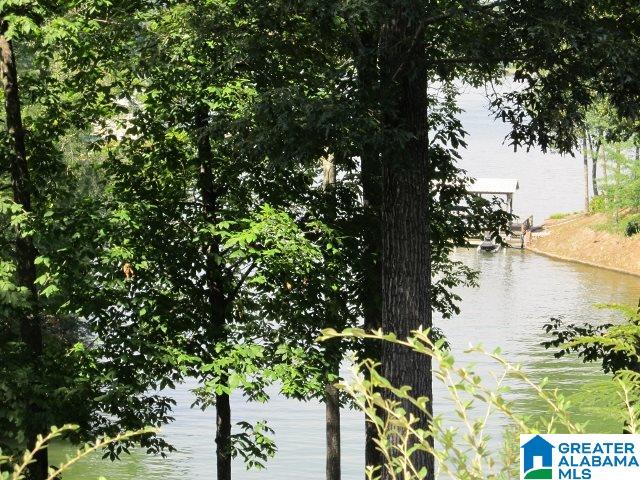 143 Nova Circle Alpine, AL 35014 - Photo 18 of 46
