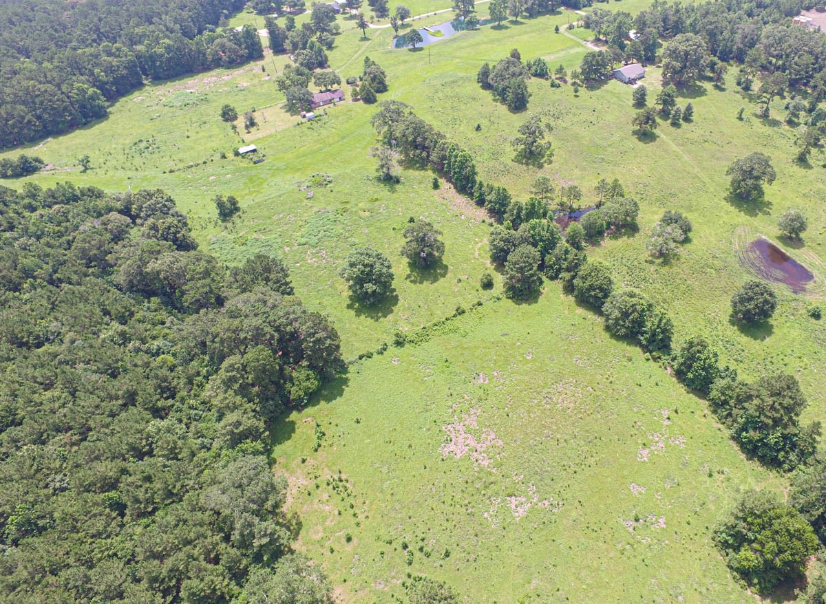 899 J Hickman Road Livingston, TX 77351 - Photo 7 of 48