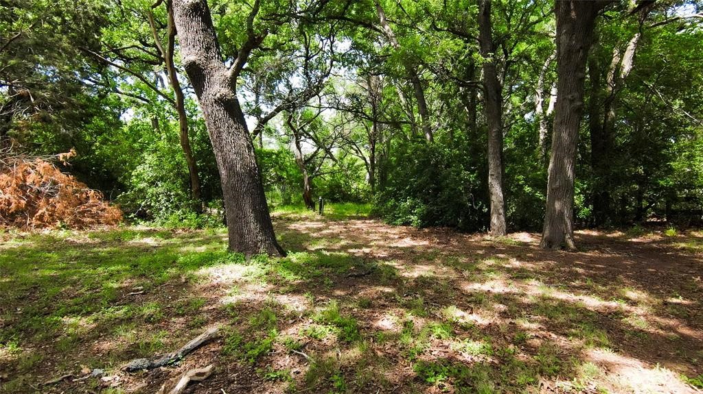 269 Balch Road Elgin, TX 78621 - Photo 21 of 39