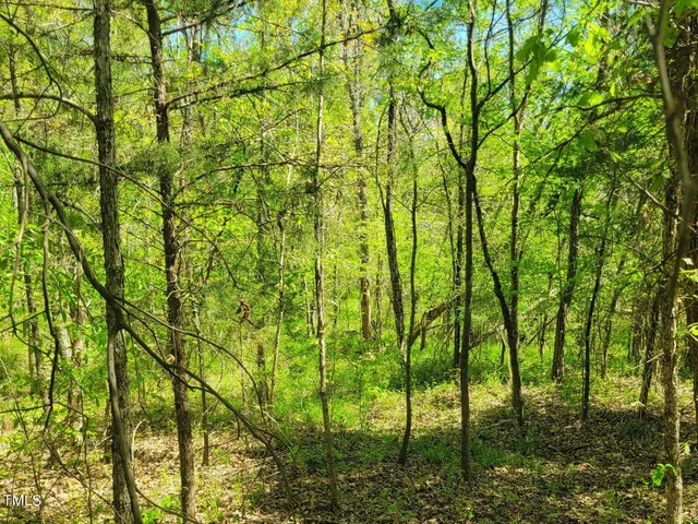 a backyard of a building with lots of trees