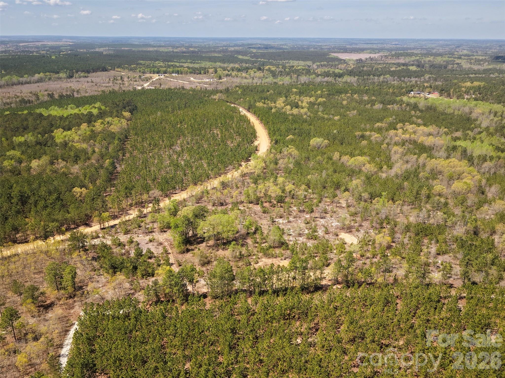 0 McQueen Road Patrick, SC 29584 - Photo 7 of 25