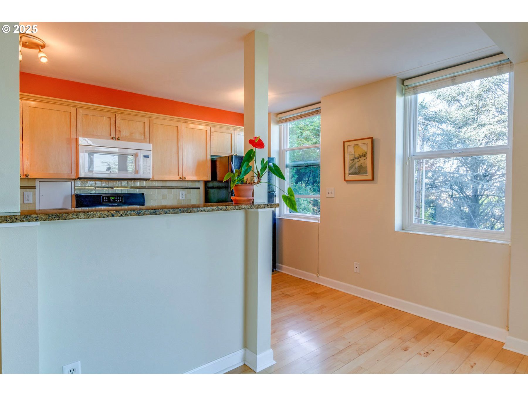 1205 Southwest Cardinell Drive, Unit 302 Portland, OR 97201 - Photo 10 of 23 a kitchen view with appliances cabinets and a potted plant