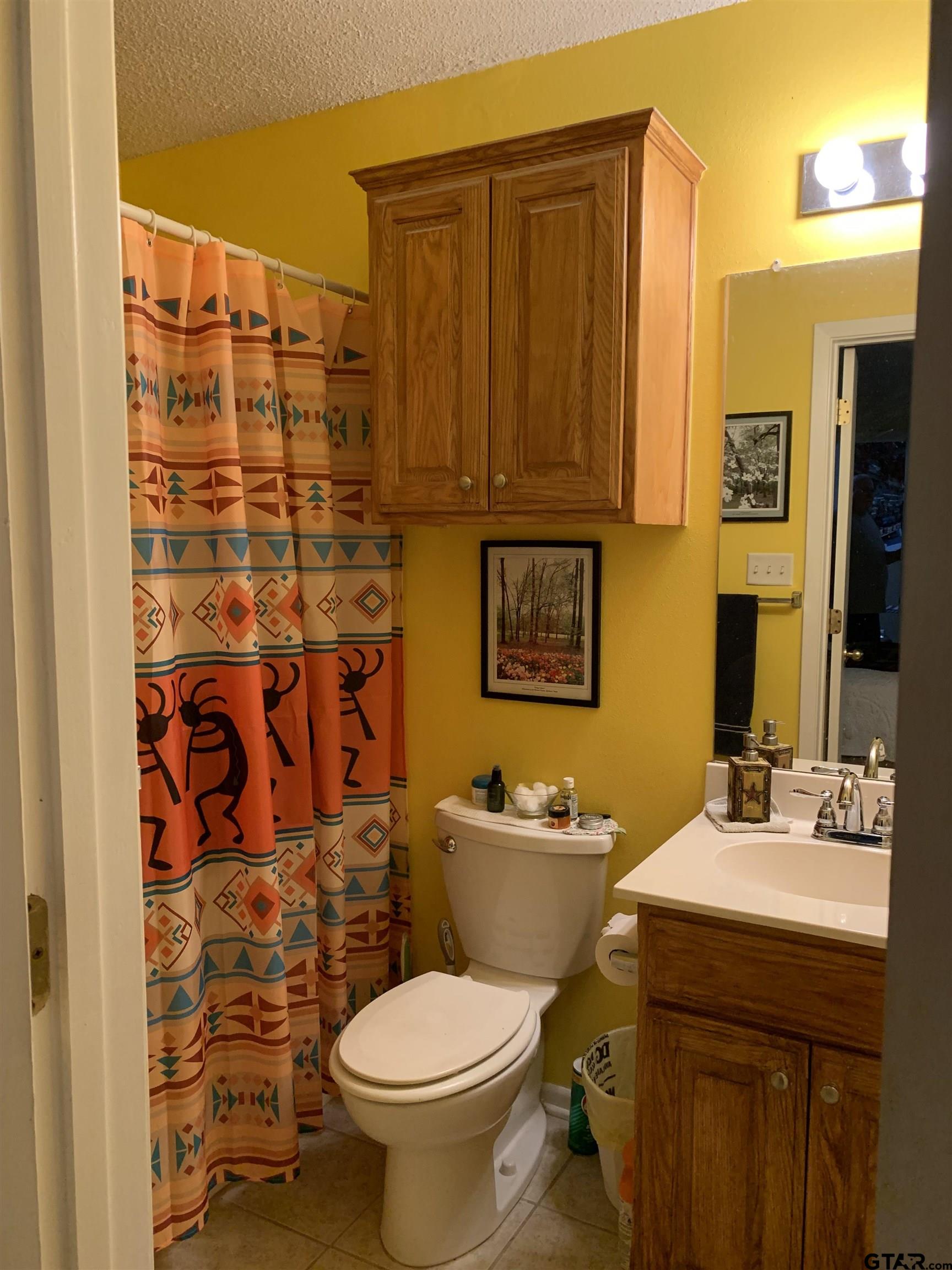 399 Cimarron Trail Holly Lake Ranch, TX 75765 - Photo 16 of 24 a bathroom with a sink a toilet and shower curtain