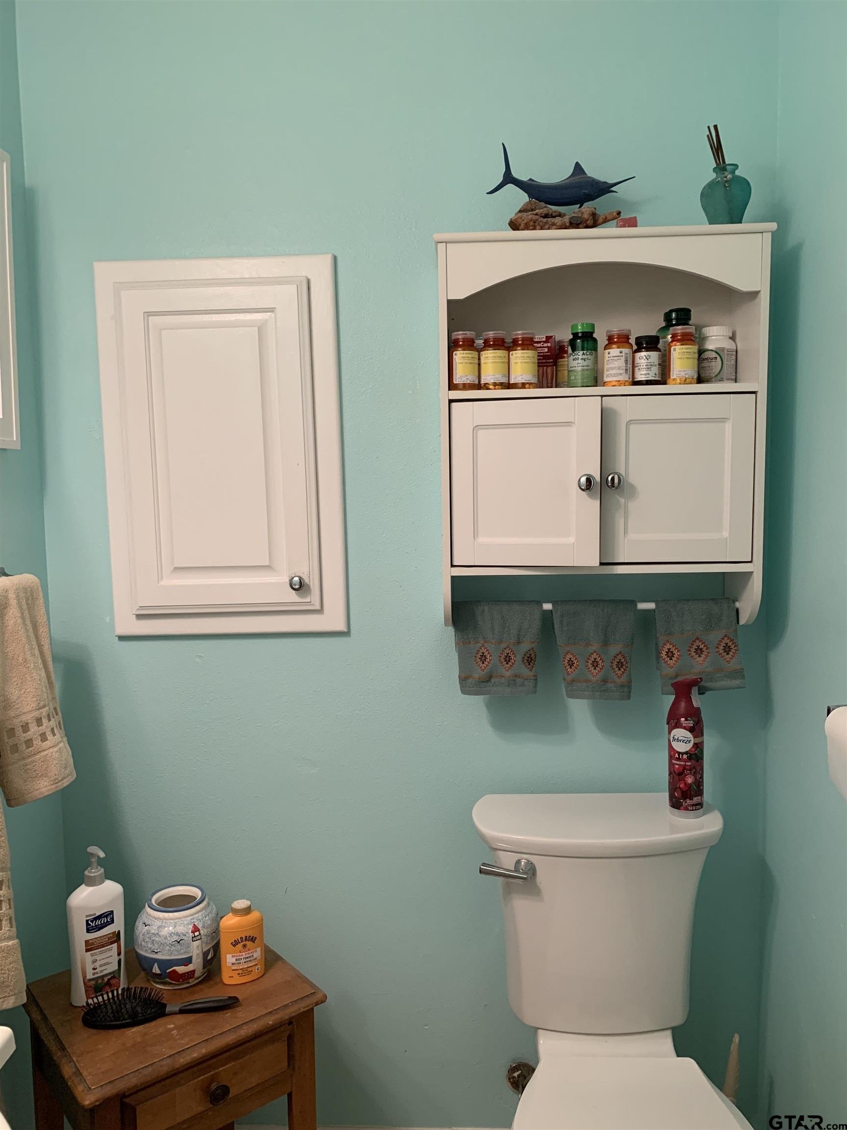 399 Cimarron Trail Holly Lake Ranch, TX 75765 - Photo 22 of 24