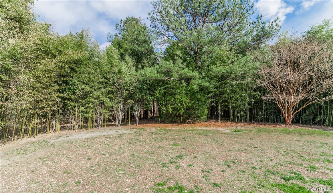 10623 River Road Chesterfield, VA 23838 - Photo 4 of 48 a view of outdoor space with trees all around