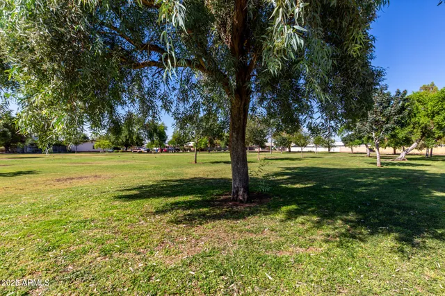a view of a golf course