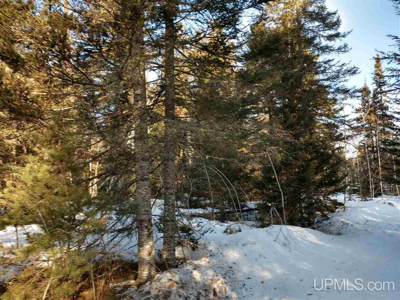 39-acres 39-acres Co Road Ishpeming, MI 49849 - Photo 26 of 39