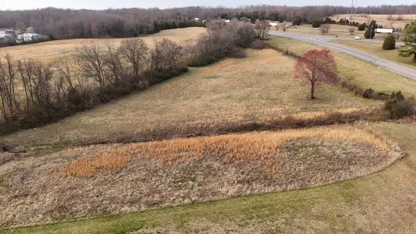 a view of outdoor space and yard
