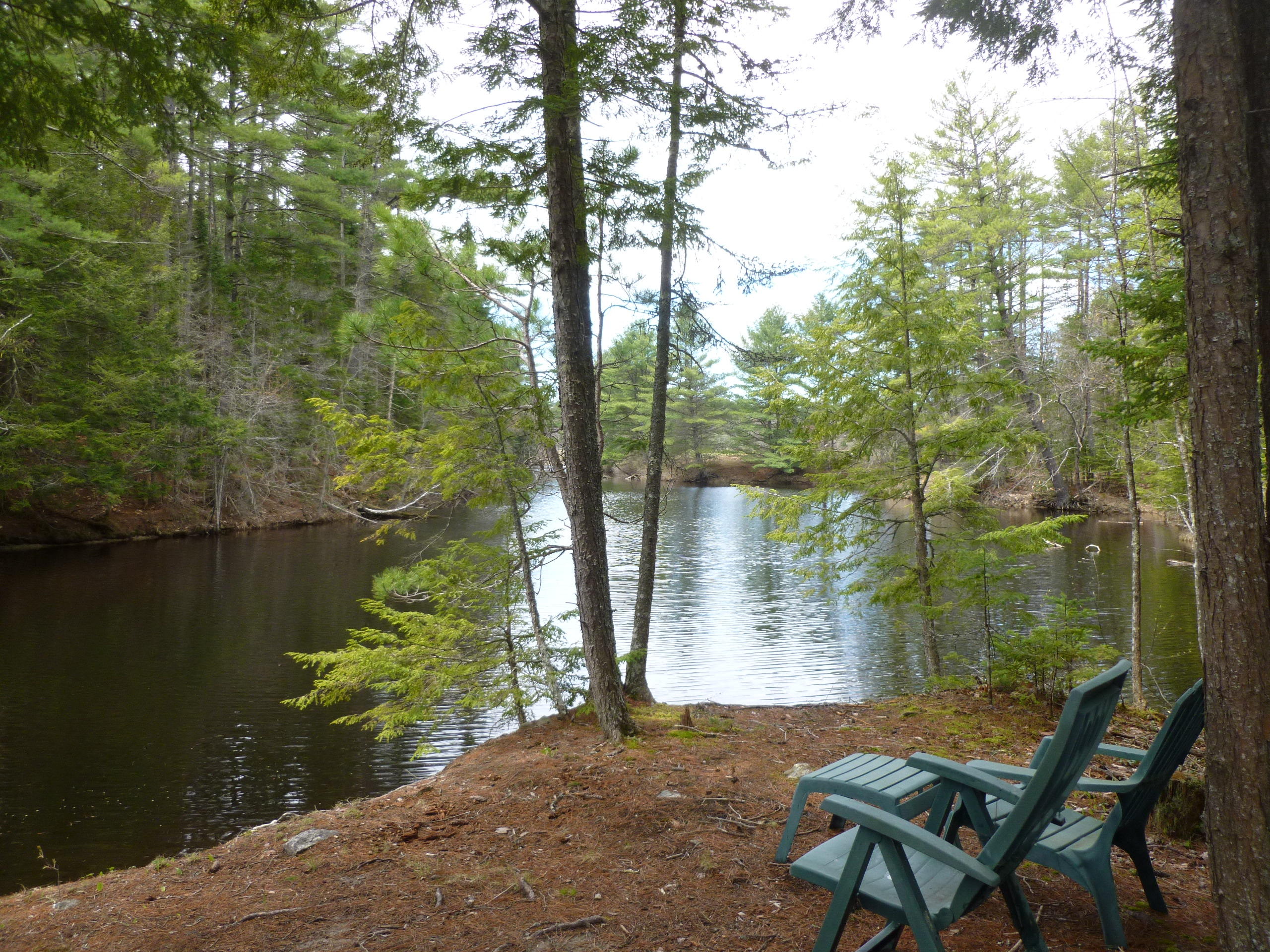 521 Saco Road Standish, ME 04084 - Photo 5 of 32 5