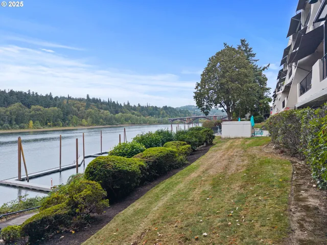 a view of a back yard of the house