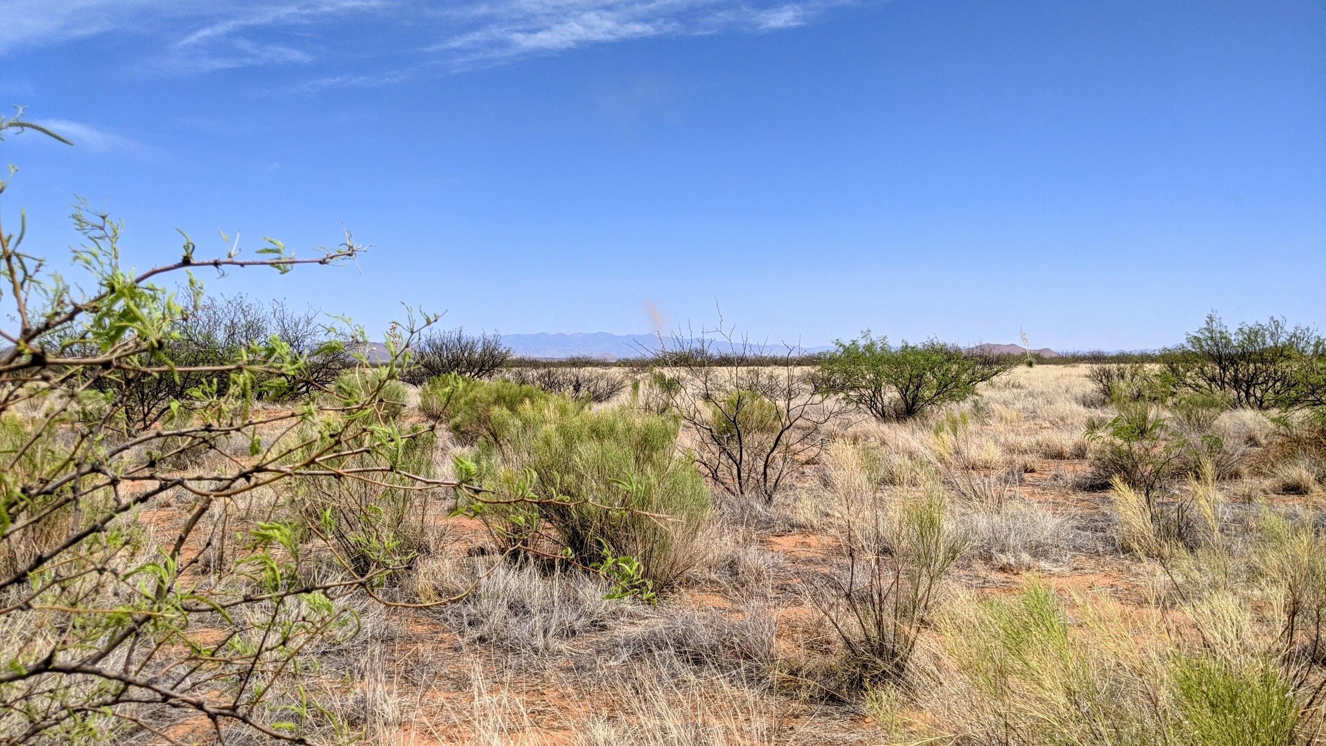 1.07 Acre Off Desert Road Cochise, AZ 85606 - Photo 3 of 20