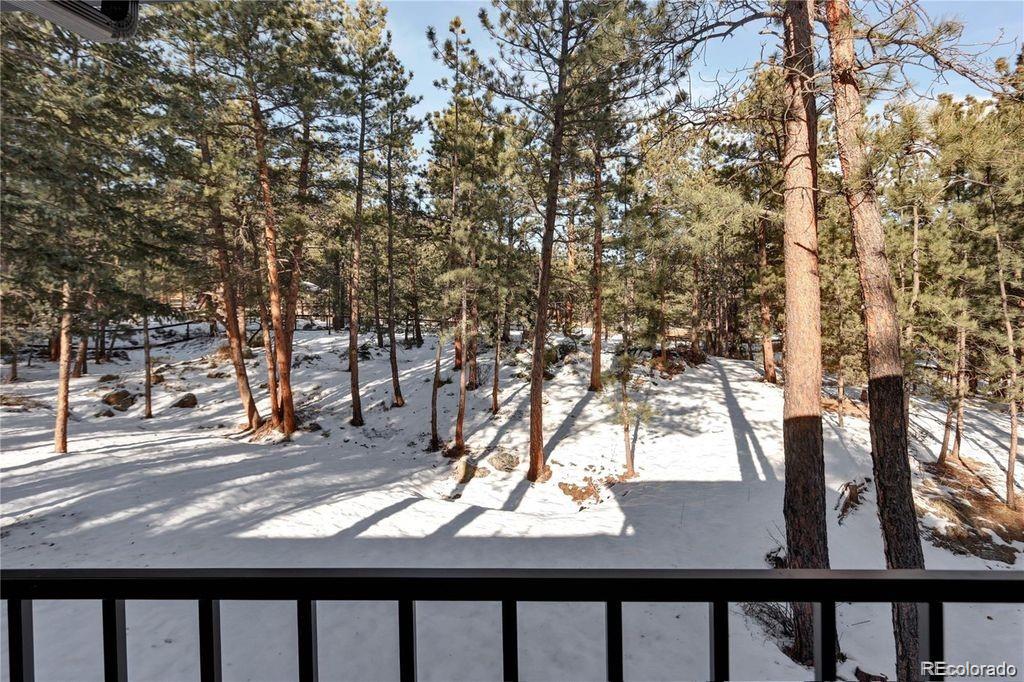 166 Cherokee Road Lyons, CO 80540 - Photo 30 of 33