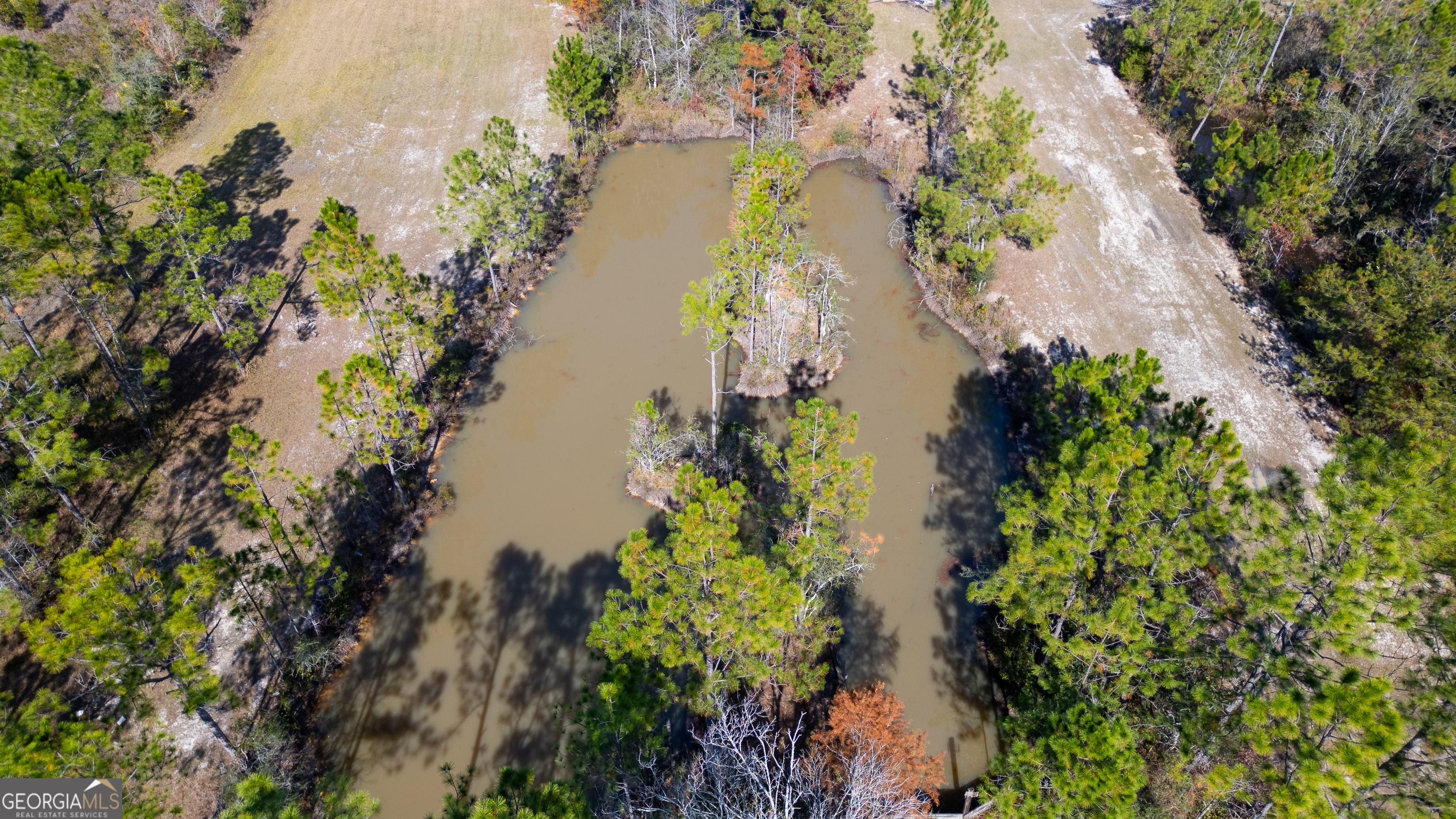 3222 Bertran Trail Waycross, GA 31503 - Photo 4 of 10 a view of a lake with a lake