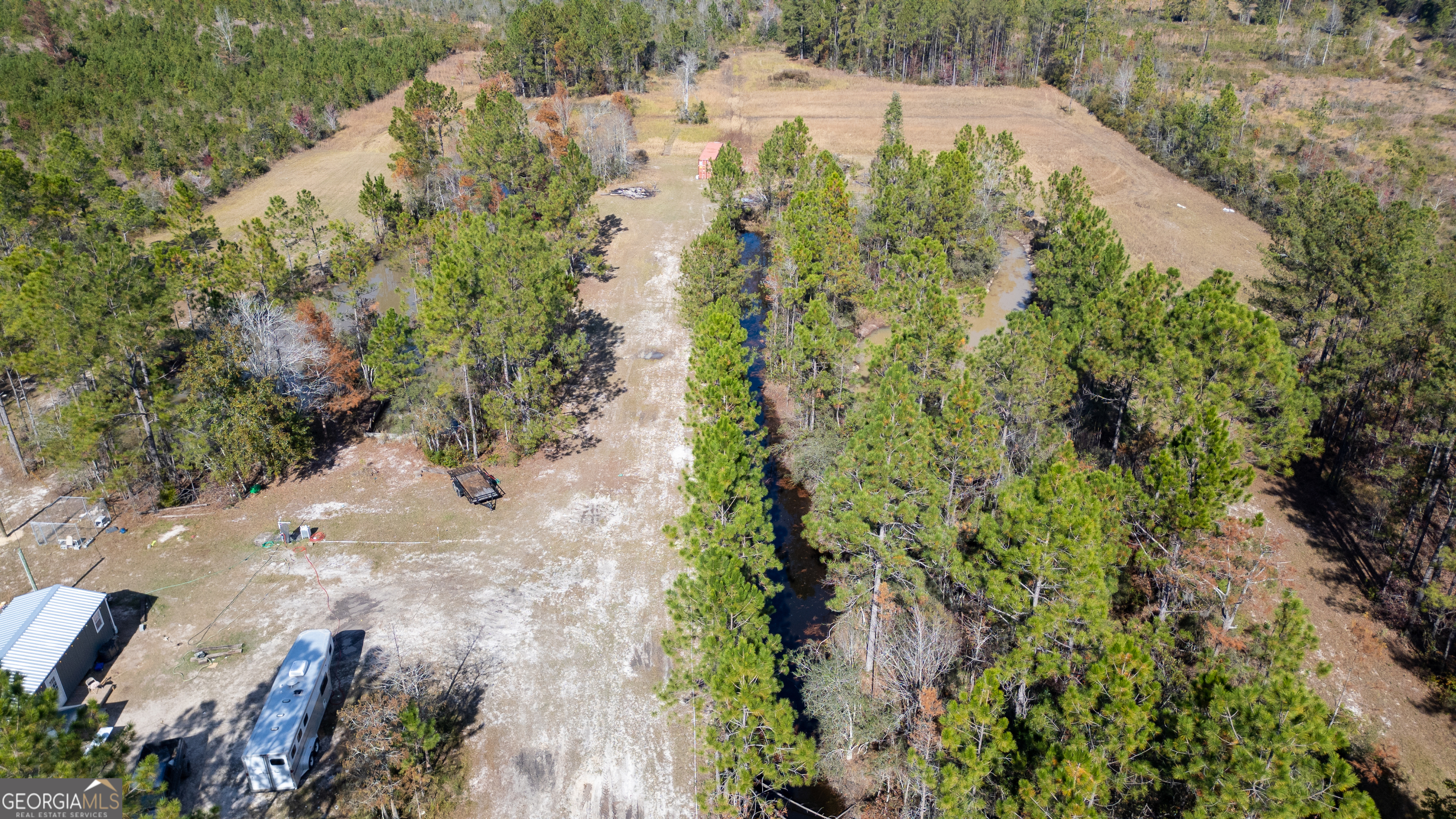 3222 Bertran Trail Waycross, GA 31503 - Photo 6 of 10 a view of a yard with plants and large trees