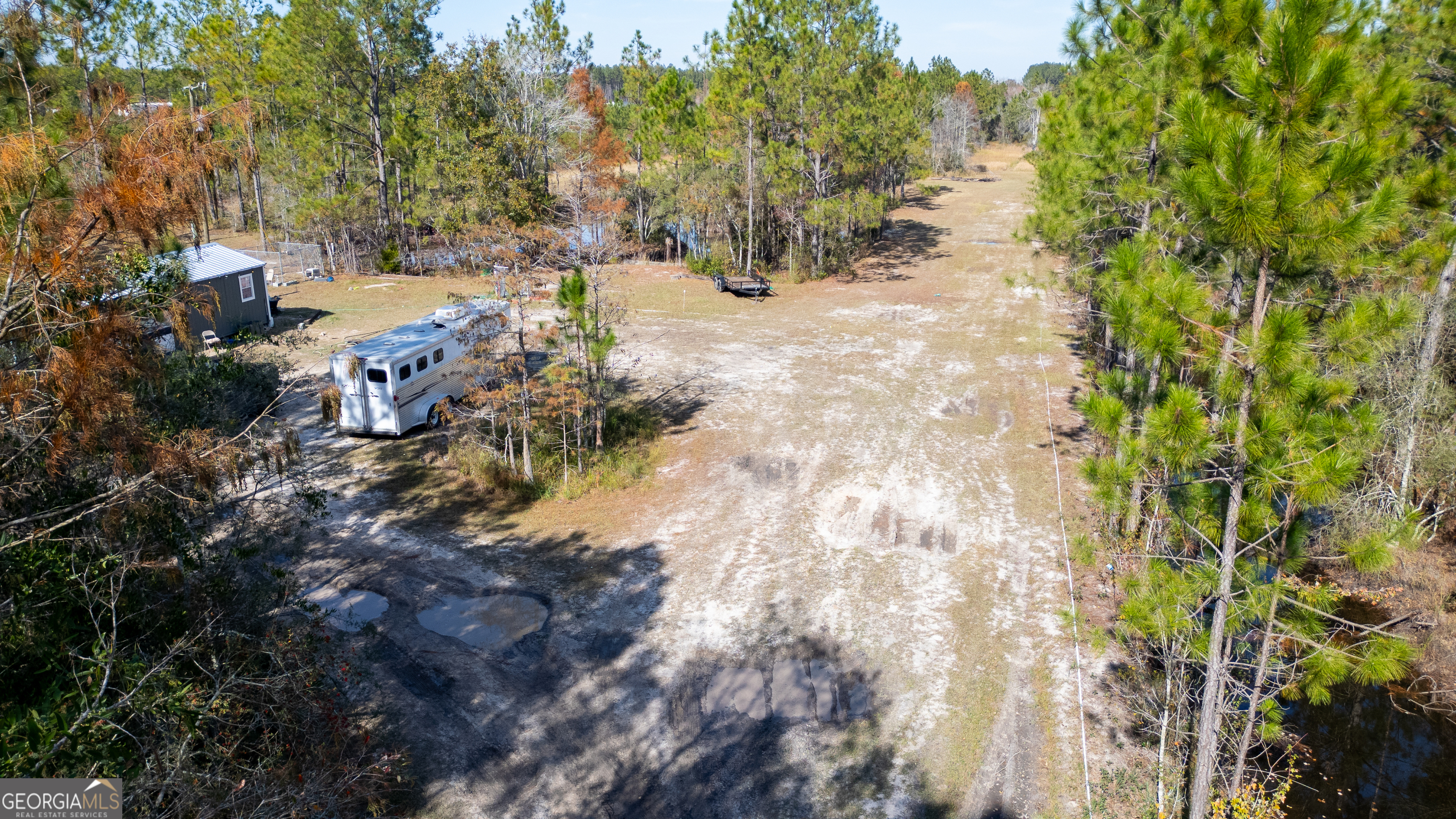 3222 Bertran Trail Waycross, GA 31503 - Photo 7 of 10 a view of a yard with plants and trees