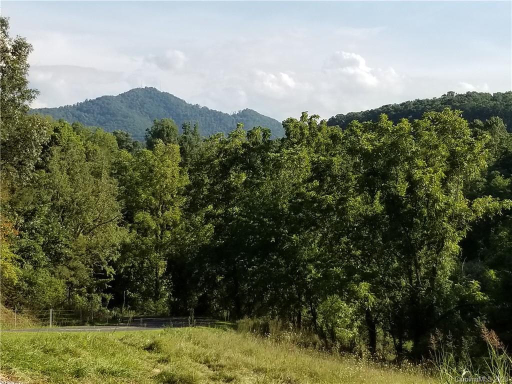 66 Cole Road Leicester, NC 28748 - Photo 22 of 22 Gallery Image 22