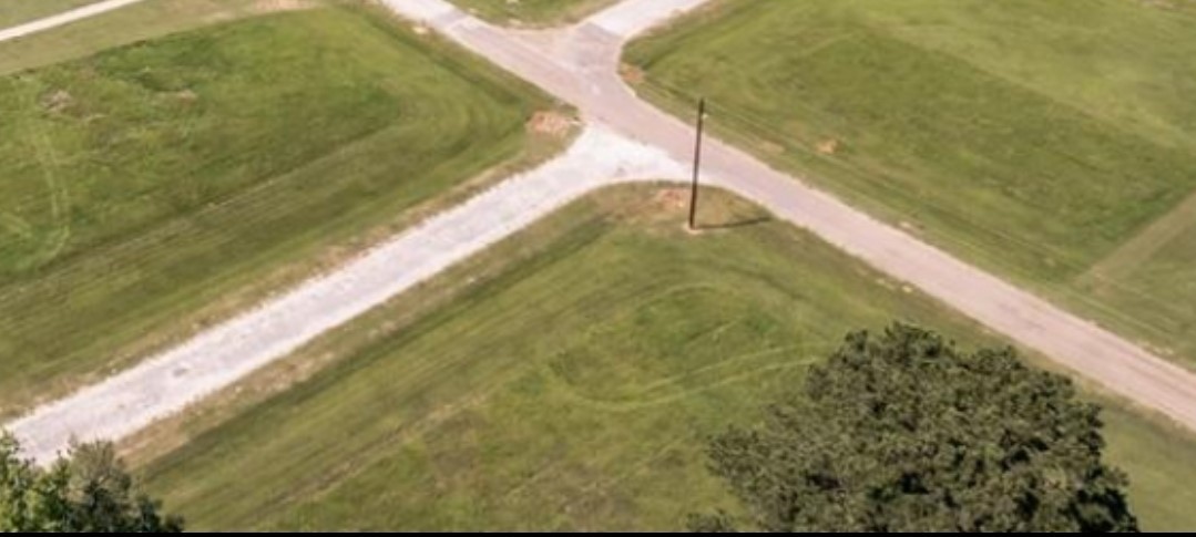 0 Natchez Street Trinity, TX 75862 - Photo 3 of 6