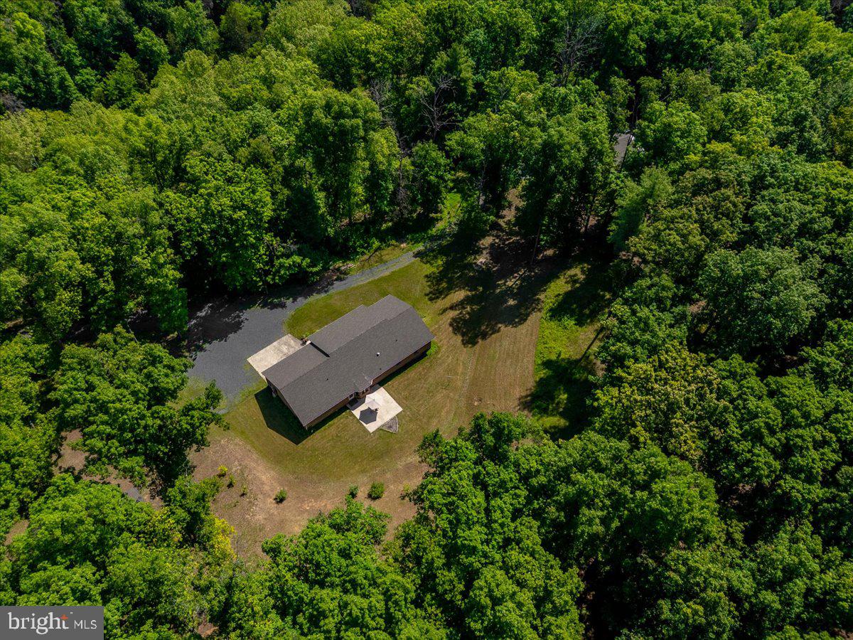 906 Cauthorn Mill Road Middletown, VA 22645 - Photo 6 of 47