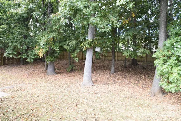 a view of a park with large trees