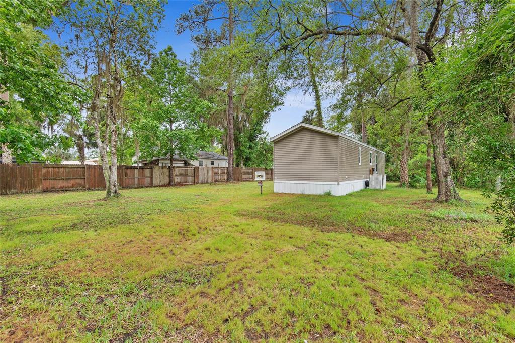 55917 Cabbage Road Astor, FL 32102 - Photo 4 of 22
