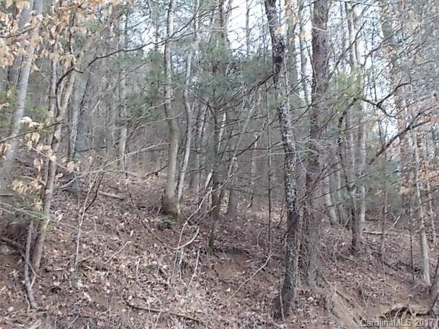 205 Rambank Road Marshall, NC 28753 - Photo 21 of 21 Gallery Image 21