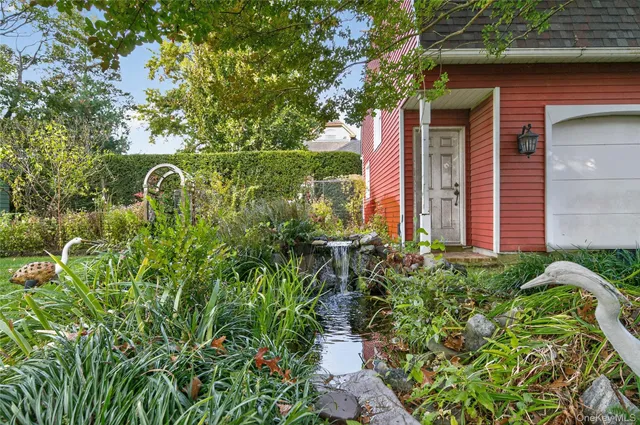 a view of a garden with plants