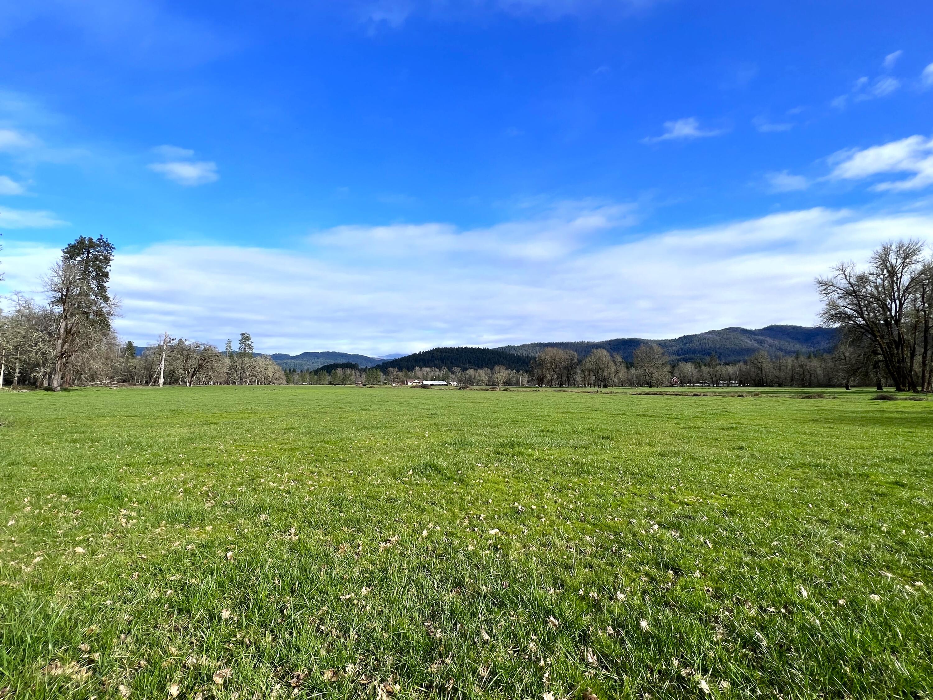 620 Dick George Road Cave Junction, OR 97523 - Photo 94 of 123 115