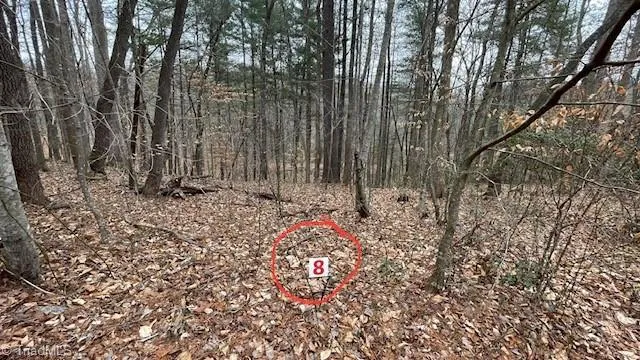 $29,999 | Lot 8 Woods Haven Lane, Stuart, VA 24171