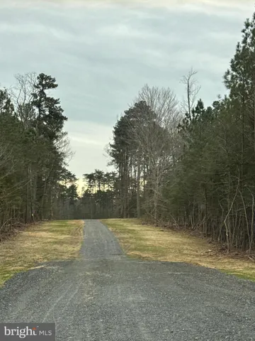 a view of outdoor space with trees