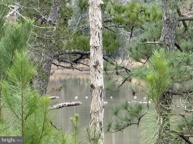 a water heater is sitting in a forest