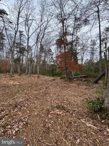 a big yard with lots of green space
