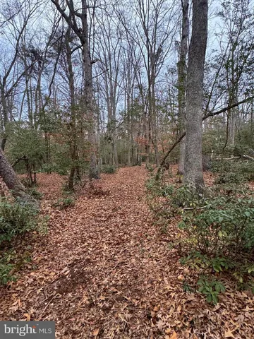 a backyard of a house with lots of trees