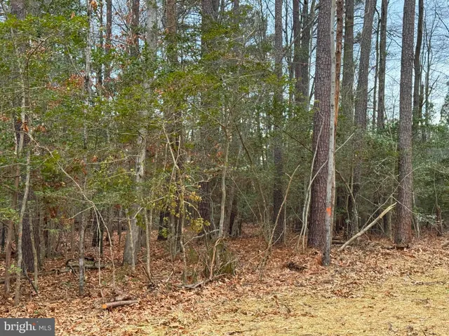 a view of a yard with an trees