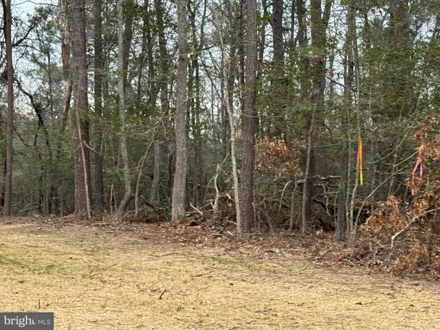 $299,900 | 6 Seagrass Court, King George, VA 22485