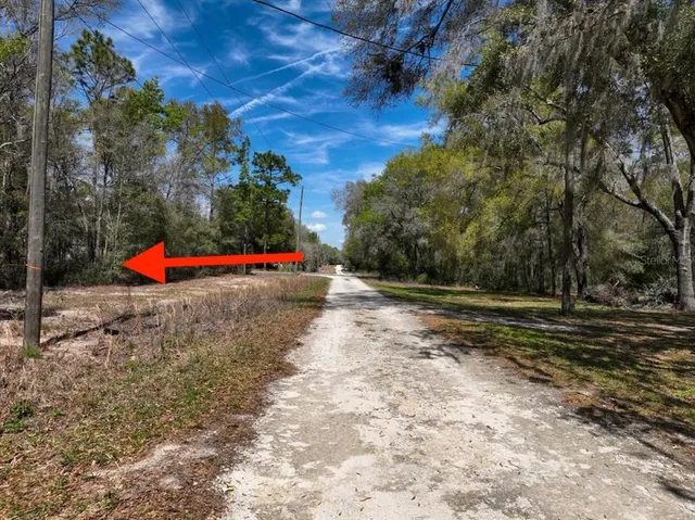 a view of a yard with swimming pool