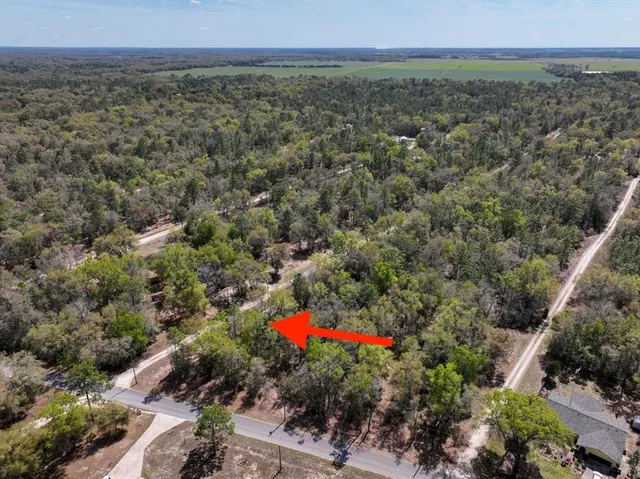 a view of a lush green field