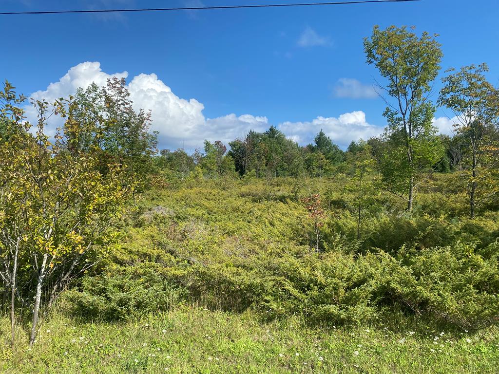 Timberline Road Ellison Bay, WI 54210 - Photo 1 of 3