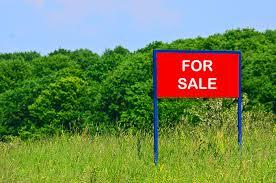 550 Dandridge Road Walterboro, SC 29488 - Photo 1 of 1 Vacant Raw Land 3